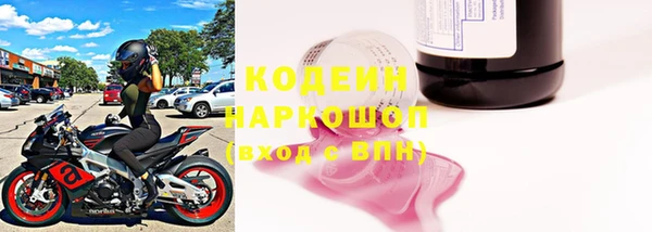 хмурый Алексин
