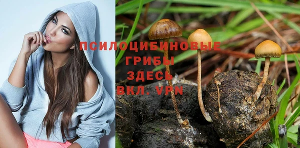 соль курить ск Алексеевка