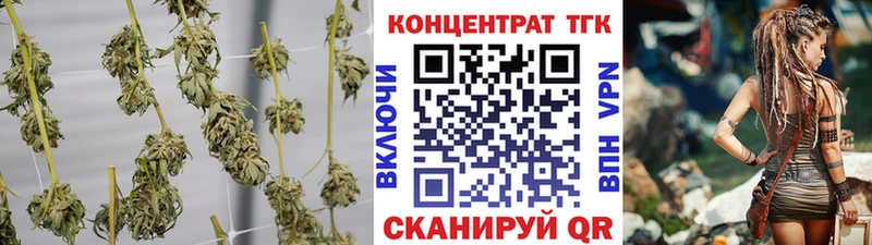ТГК концентрат  Саянск 